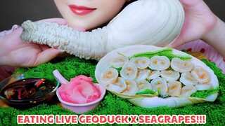 ASMR MAKING LIVE GEODUCK SASHIMI AND RAW SEAGRAPES CRUNCHY EATING SOUNDS | LINH-ASMR