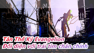 [Tân Thế Kỷ Evangelion/MAD] Đối diện với trái tim chân chính