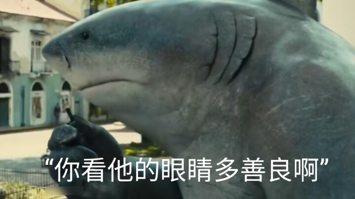 Shark King Appearance Collection (Part) [Shark King]