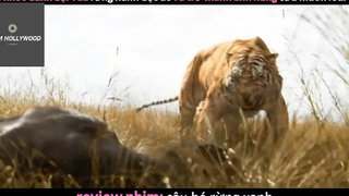 REVIEW PHIM : Cậu bé rừng xanh (p2) #rvphimcuocsong