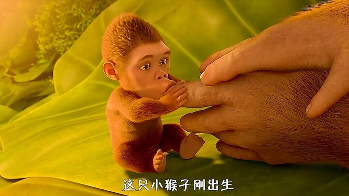 Người em trai khỏe mạnh kế thừa ngai vàng, còn người anh trai gầy yếu bị đem cho sói ăn.