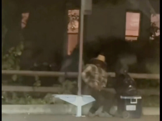 สัตว์เลี้ยงดิจิทัลโดนัทถูกชาวเน็ตบนท้องถนนสหรัฐฯ ถ่ายไว้ได้ ถูกขับไล่ด้วยหมวก ขอทานตามริมถนน และต้อง