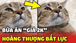 Hoàng Thượng BẤT LỰC với "BỮA ĂN 2K" của ông bố sau khi xem TÓP TÓP quá nhiều 😂 | Yêu Lu