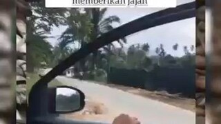 Kasih sayang seorang ayah