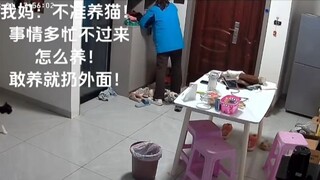 父母养猫真香定律！这不是已经扔外面了嘛，要不然怎么只能看监控？