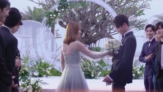 [Xu Kai×Cheng Xiao] [Nursery Rhymes×Lu Sichen] Tôi cúi đầu trước để thể hiện sự tôn trọng