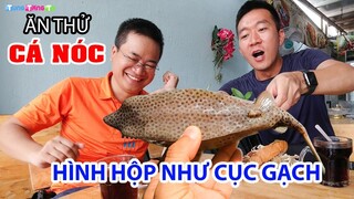 Kỳ lạ Cá Nóc hình vuông ngon như thịt gà | DU LỊCH CÔN ĐẢO