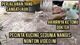 Astagfirullah Anak Kucing Kecil Nangis-Nangis Kakinya Hilang 1 Minta Tolong Di Bawa Ke Dokter..!