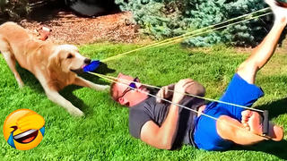 วิดีโอสัตว์ตลกที่ดีที่สุด 2022 😺 - วิดีโอแมวและสุนัขที่สนุกที่สุด😍😇