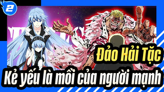 Đảo Hải Tặc|[Esdese] Kẻ yếu là người mạnh, người chiến thắng là vua_2