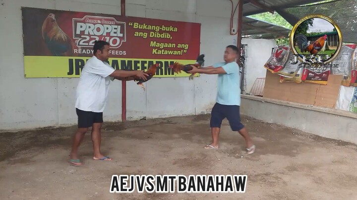 Local! AEJ GF LINE VS MT BANAHAW LINE! 1st Spar after napungusan😂