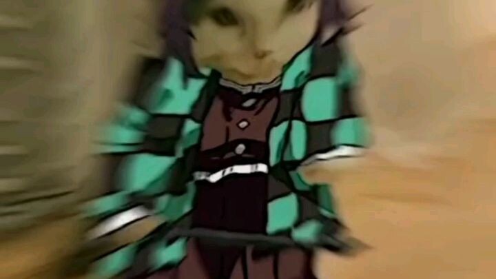 kucing yang mengkece🗿☝️