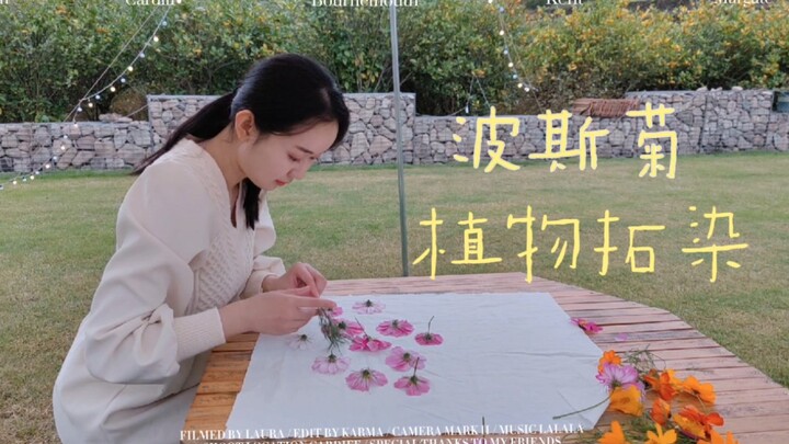 旅行的路上偶遇了一大片波斯菊，我做了植物拓染，把它的美带回家了