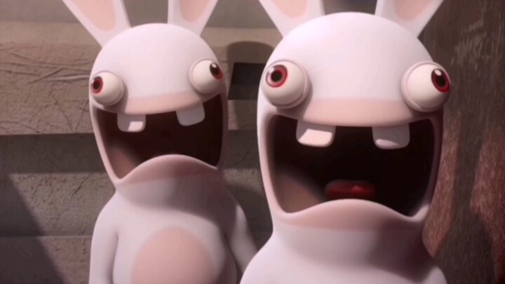 Dear Mad Rabbit Was Cremated
