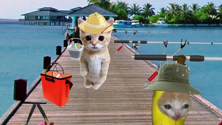 Banana Cat and friends go fishing together.