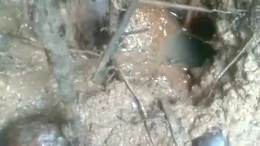 mancing belut babon dalam sumur,hasil nya di luar dugaan??