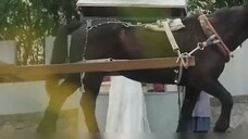 short drama