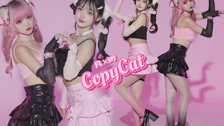 【凡×缈】甜辣猫猫双子🩷Copycat🖤
