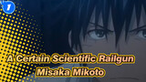 [A Certain Scientific Railgun/MAD] Misaka Mikotoy_1