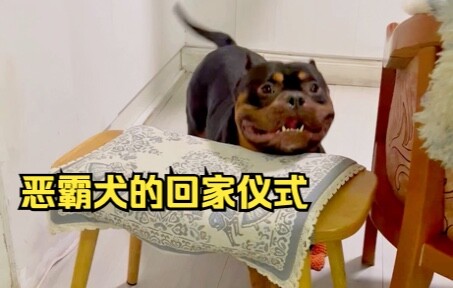ทุกวันกลับบ้านเขาก็เป็นแบบนี้ ทำยังไงดี?