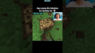 Momen Domba Minecraft