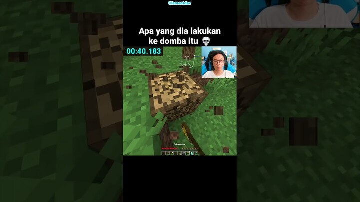 Momen Domba Minecraft