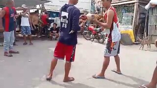 winner