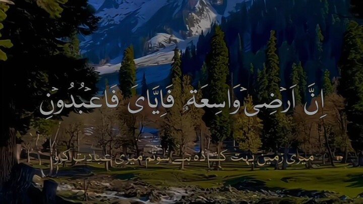 Follow please islamic video