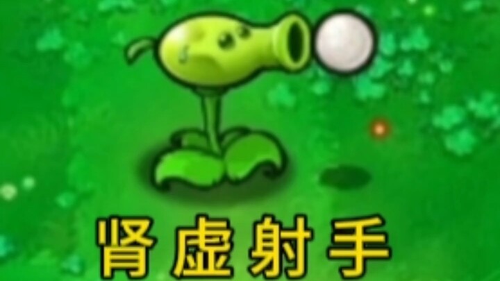 Cung Thủ thận yếu, nôn nhiều đậu Hà Lan là chết ngay.