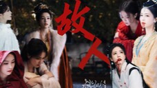 【双声道|姜雪宁&黎苏苏|白鹿】你很像我的一位故人………但你终究不是她……