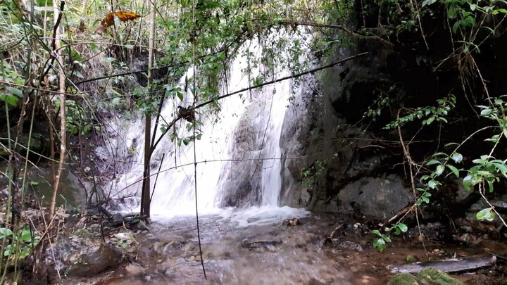 VISITAMOS LAS CASCADAS AL PIE DEL CERRO / PARTE 2 (La Merced del Potrero, Oaxaca)