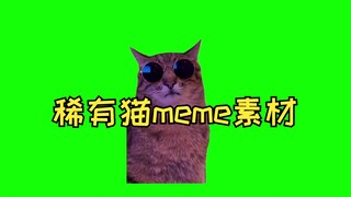 Vật liệu phông xanh meme mèo hiếm của GB (tùy chọn)