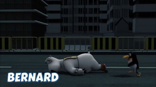BERNARD BEAR || MARATHON 3 - CARTOON CHILDREN