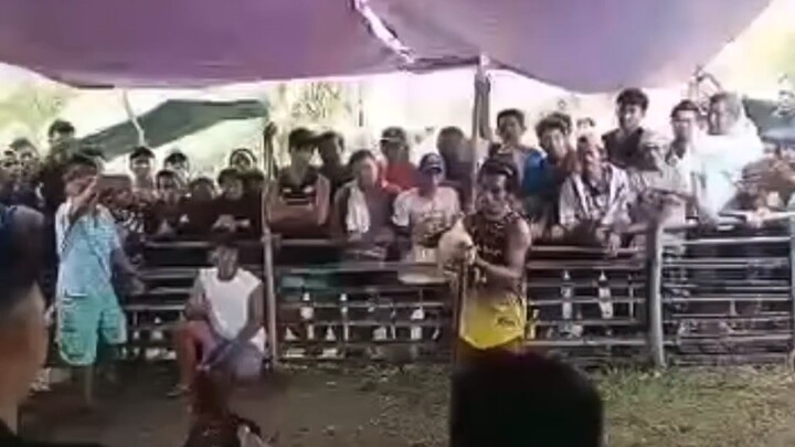 White Choco line na yupi ang kalaban