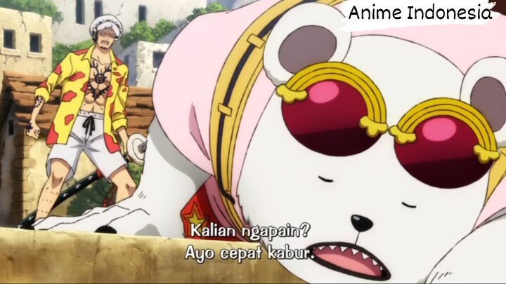 one piece
