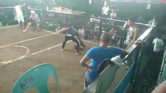 tinola line..🐓