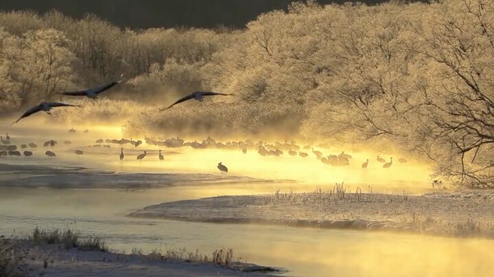 This is probably the feeling of "being in a cage for a long time and returning to nature"~