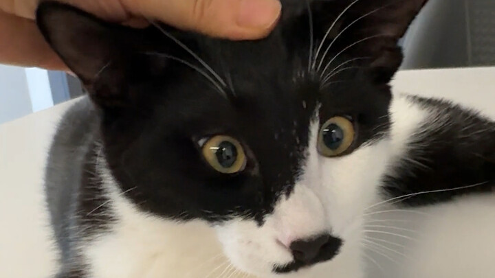 بانغ هو: سمعت أن هناك من ينشر شائعات كاذبة عني في كل مكان!