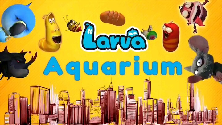larva. aquarium
