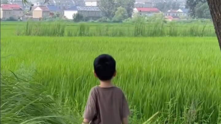 “终于明白朝花夕拾是什么意思了，当你三十岁的时候，去买十八岁喜欢的东西 ，去二十岁想去的地方，已经毫无意义。”