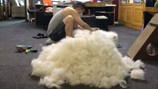 A 50-jin dog with 40 jin of fur