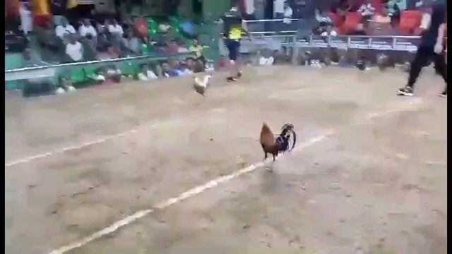 WWL
