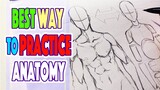 Best Way To Practice Anatomy | How To Draw Anatomy Poses