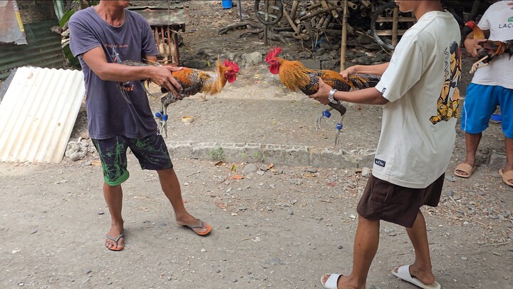 My own blend of dome. Unang bitaw