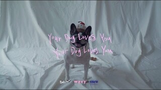 Colde (콜드) - Your Dog Loves You (Feat. Crush) (Official Video)