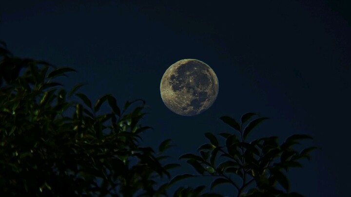 moon