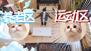 Dogs have big yards! Then we should give the cats their due too! Let's create a space exclusively fo