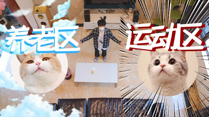 الكلاب لديها فناء كبير! حان وقت تجهيز مكان مميز للقطط أيضًا! هيا بنا نحو المساحة المخصصة للقطط!!