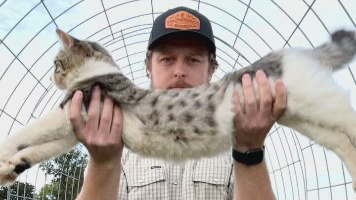 My Cat Is So Patient