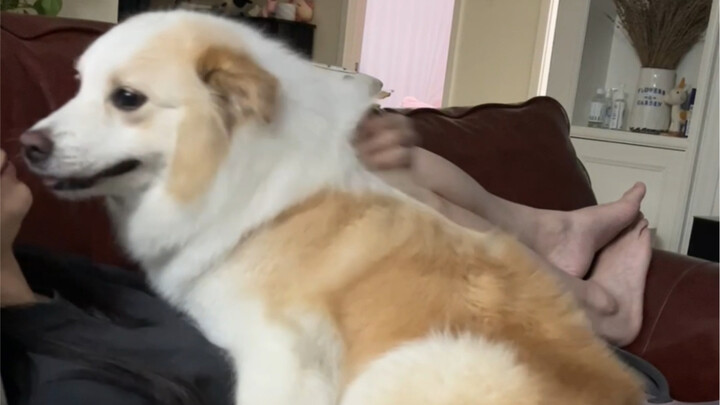 Có vẻ như cô ấy chỉ đang được chiều chuộng, nhưng thực ra, cô ấy có một mục tiêu rõ ràng từ đầu đến 